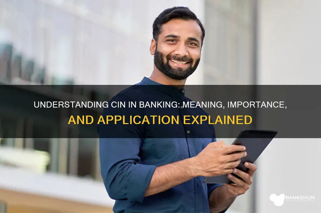 what does cin stand for in banking