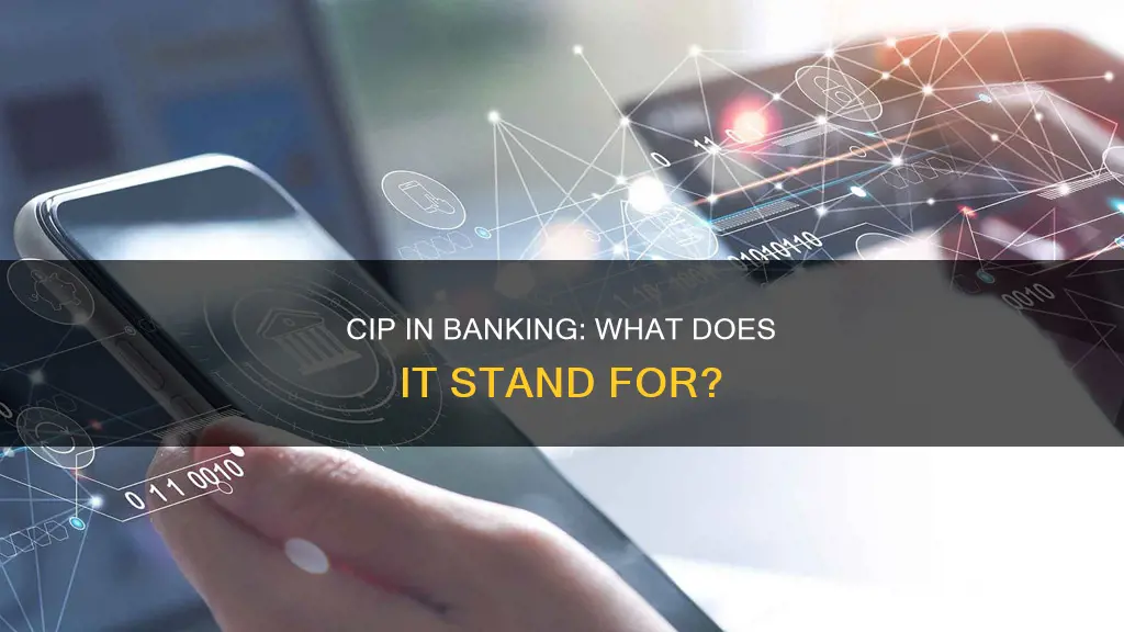 what does cip stand for in banking