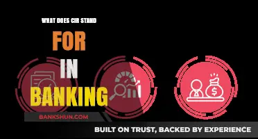 Understanding CIR in Banking: Meaning, Importance, and Applications Explained