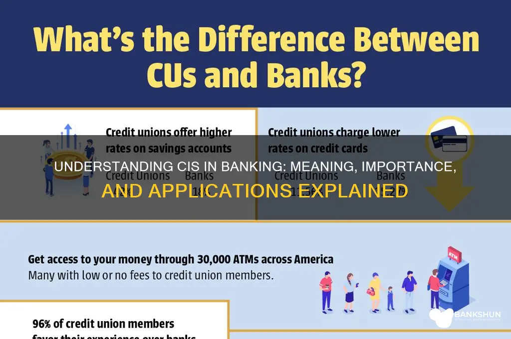 what does cis stand for in banking