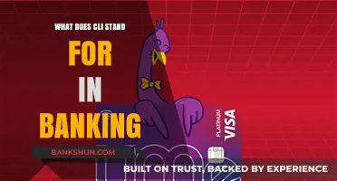 Understanding CLI in Banking: Meaning, Importance, and Common Applications