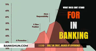 Understanding CMT: Its Meaning and Role in Banking Explained