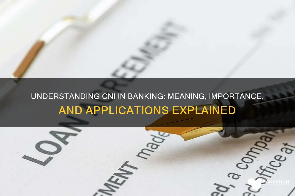 what does cni stand for in banking