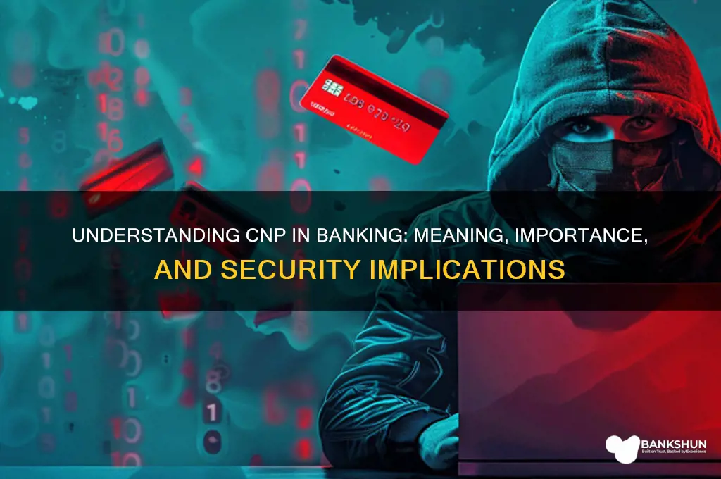 what does cnp stand for in banking