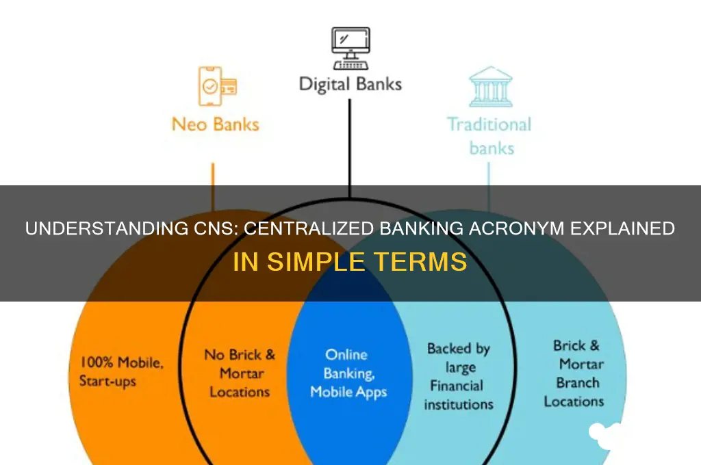 what does cns stand for in banking