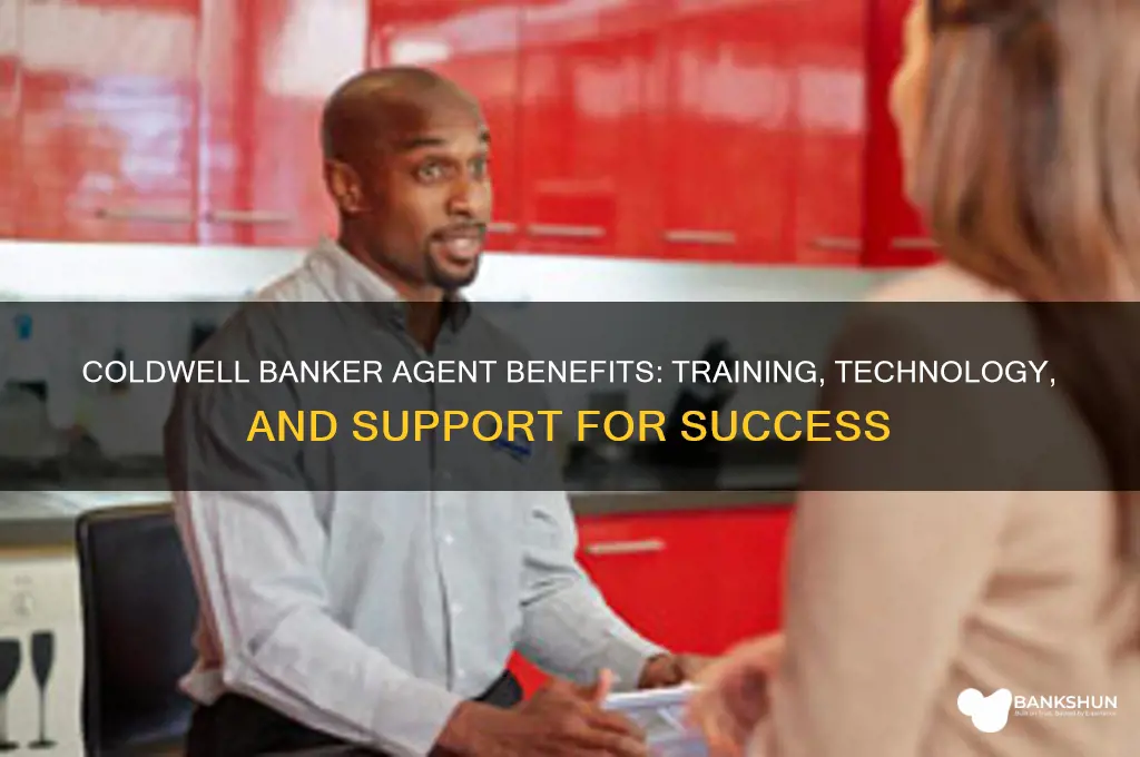 what does coldwell banker offer their agents