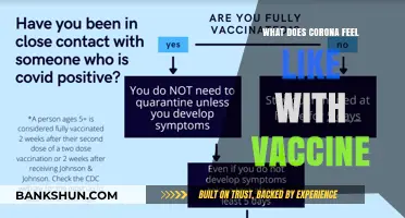 Vaccinated and Infected: Understanding COVID-19 Symptoms Post-Vaccination