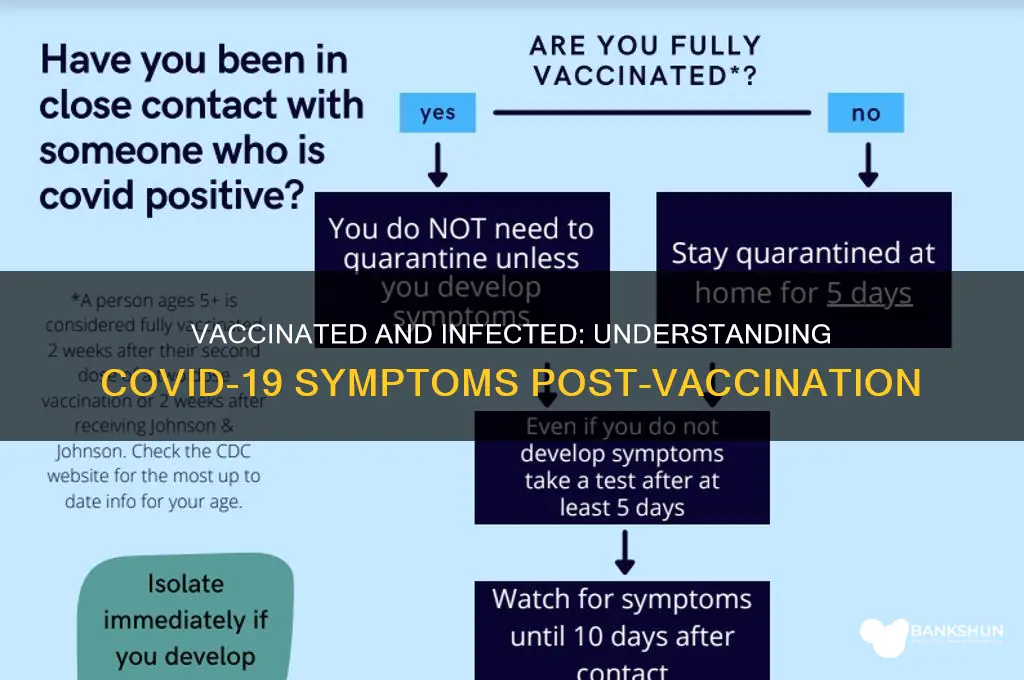 what does corona feel like with vaccine