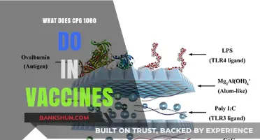 Understanding CPG 1080's Role in Enhancing Vaccine Efficacy