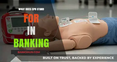 Understanding CPR in Banking: Meaning, Importance, and Application Explained