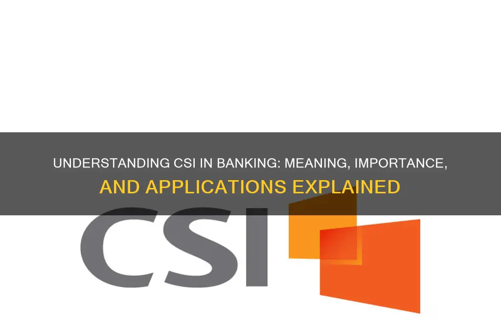 what does csi stand for in banking