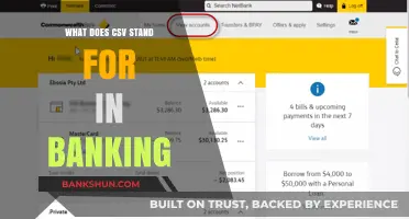 Understanding CSV in Banking: Meaning, Uses, and Importance Explained