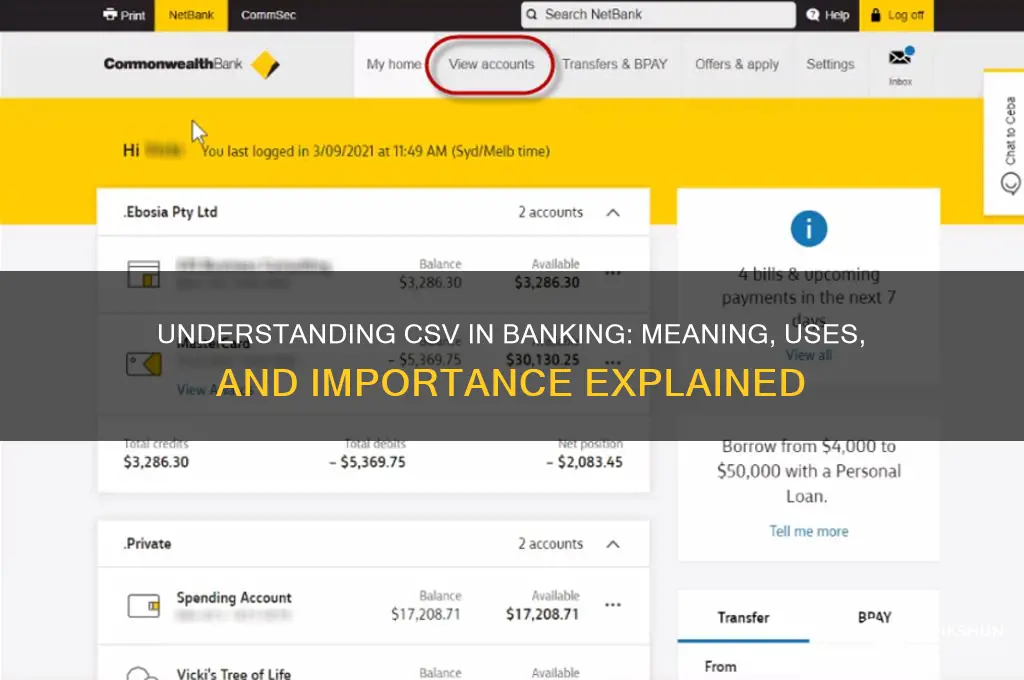 what does csv stand for in banking