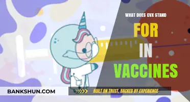 Understanding CVX Codes: What Does CVX Stand for in Vaccines?