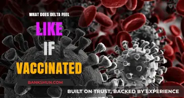 Vaccinated and Experiencing Delta: Symptoms, Severity, and Recovery Insights