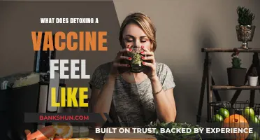 Understanding Vaccine Detox Symptoms: What to Expect and How to Cope