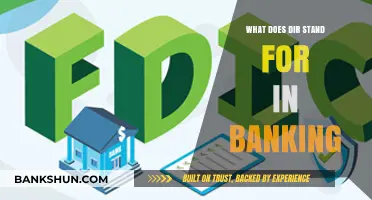 Understanding DIR in Banking: Meaning, Importance, and Practical Applications