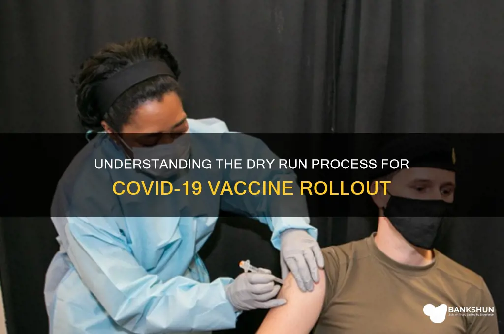 what does dry run of vaccine mean