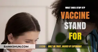 Understanding DTaP and DTP Vaccines: Meanings, Differences, and Importance
