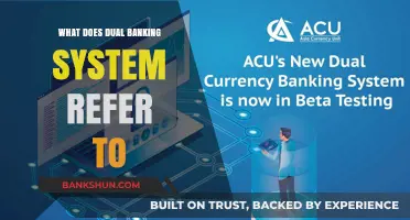 Understanding the Dual Banking System: Structure, Function, and Impact