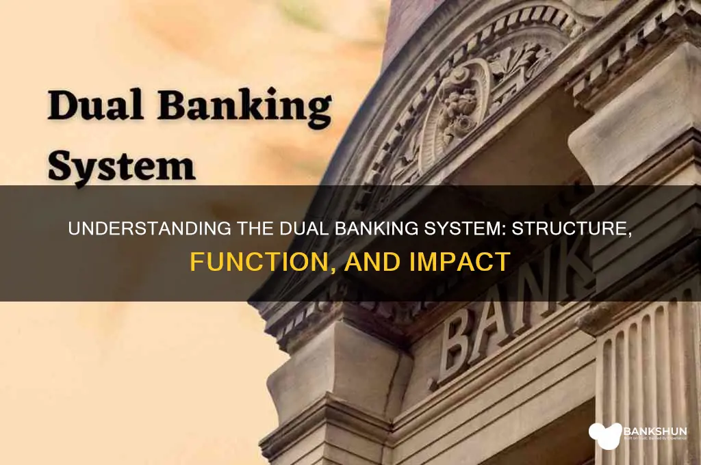 what does dual banking system refer to