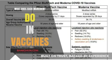 Understanding Vaccine Ingredients: Their Roles and Importance in Immunization