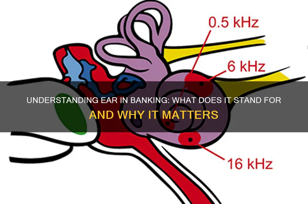 what does ear stand for in banking