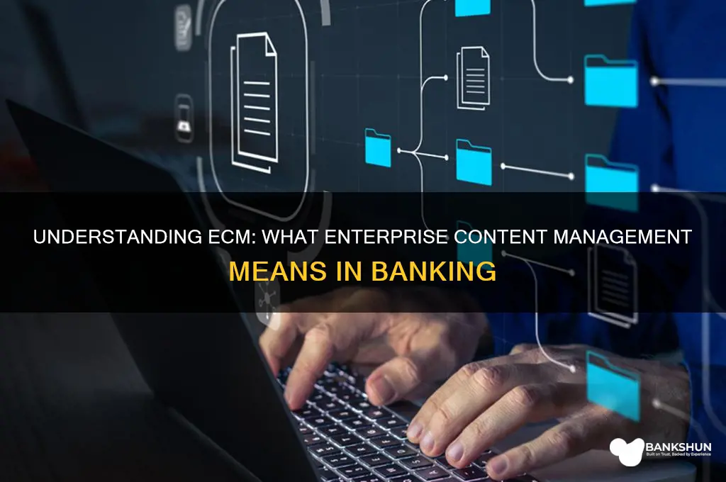what does ecm stand for in banking