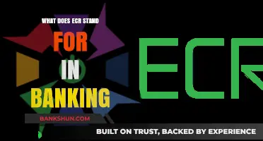 ECR in Banking: Understanding Electronic Commerce Reporting Basics