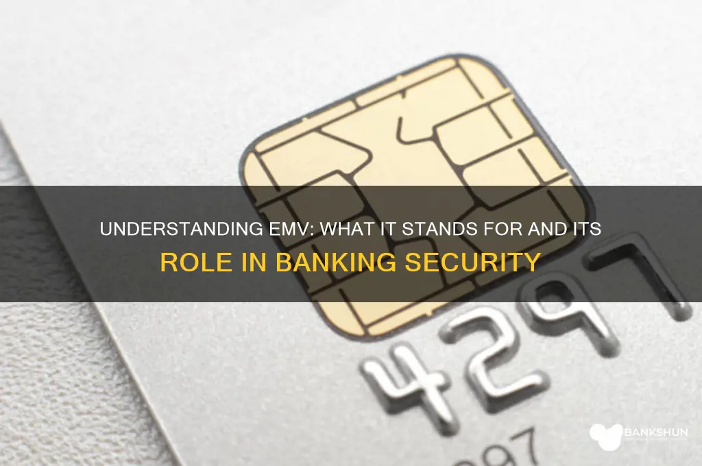 what does emv stand for in banking
