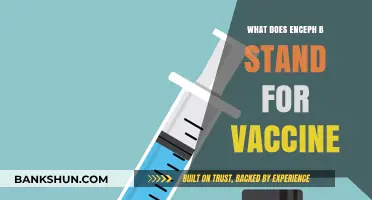 Understanding Enceph B: Decoding the Vaccine Abbreviation and Its Significance