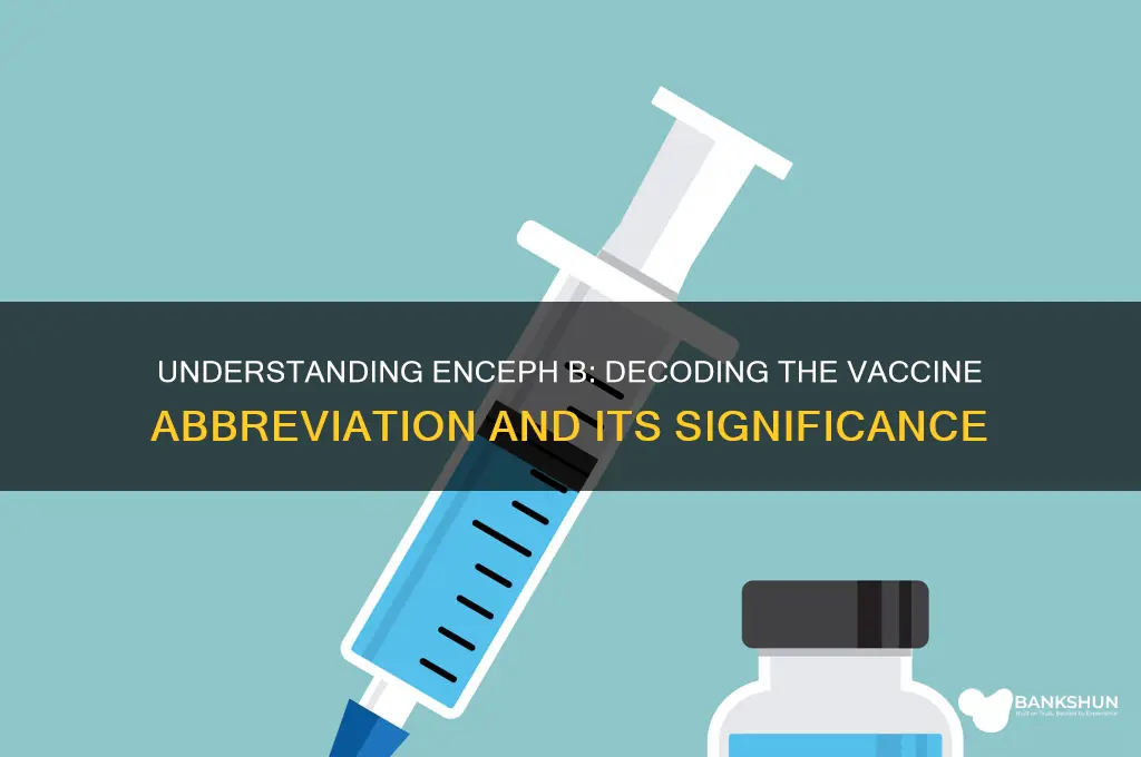 what does enceph b stand for vaccine