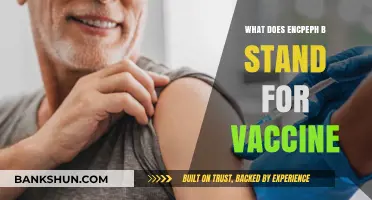 Understanding ENCEPH-B: Decoding the Vaccine Abbreviation and Its Significance
