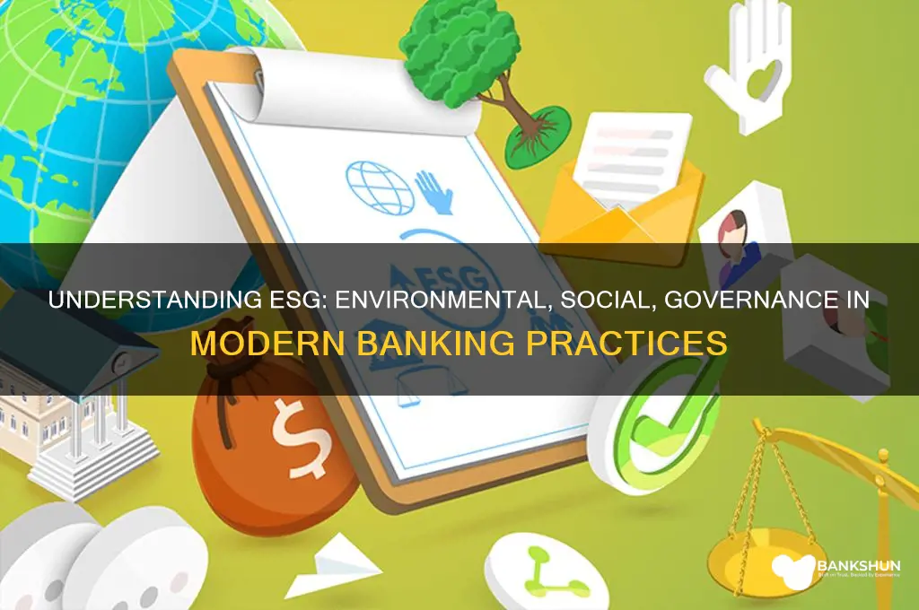 what does esg stand for in banking
