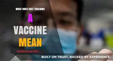 Fast-Tracking Vaccines: Understanding the Process and Its Implications