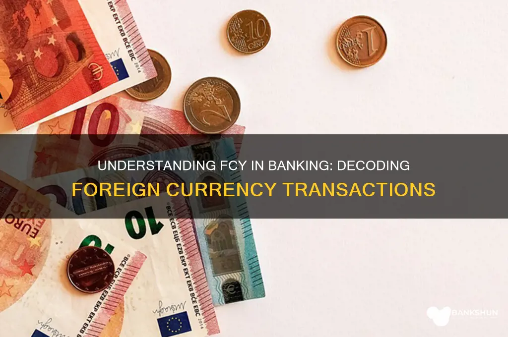 what does fcy stand for in banking
