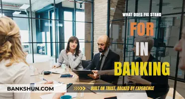 Understanding FIG: What Does FIG Stand for in Banking?