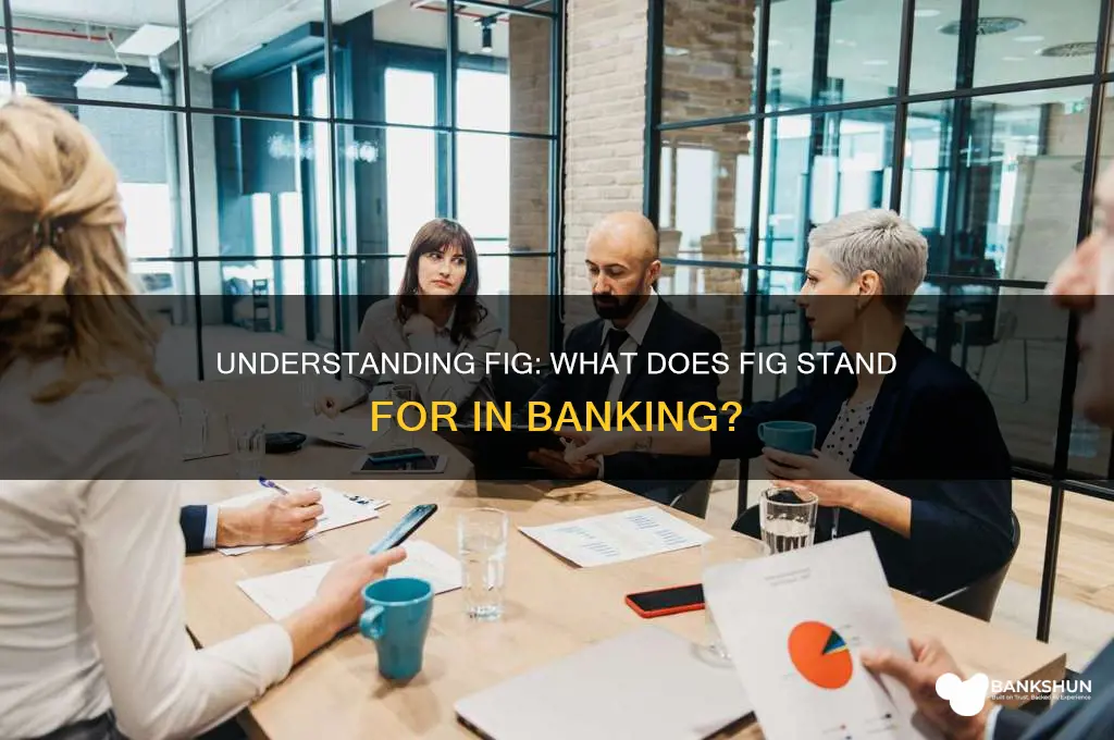 what does fig stand for in banking