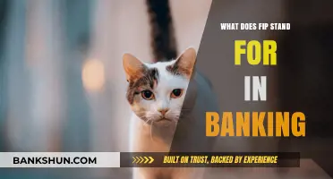 Understanding FIP: What Does FIP Stand for in Banking?