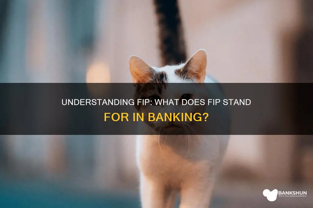 what does fip stand for in banking
