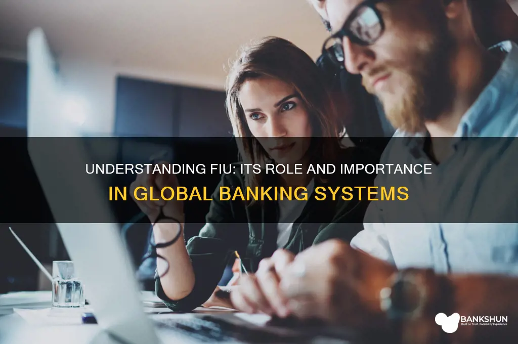 what does fiu stand for in banking