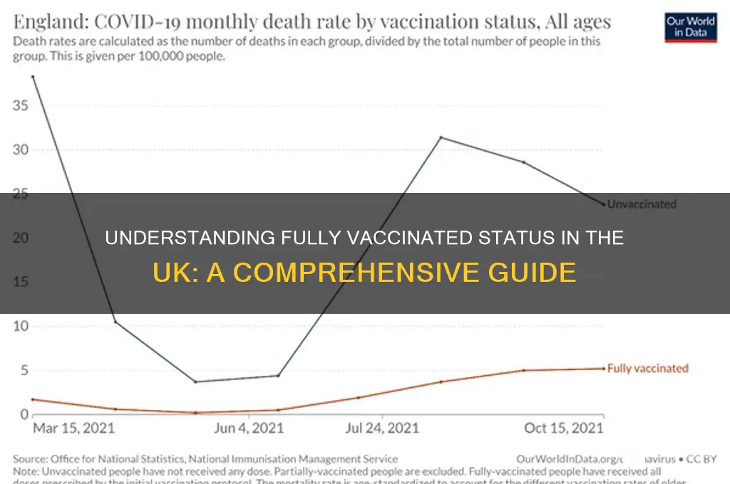 what does fully vaccinated mean in uk