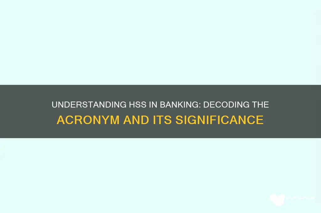 what does hss stand for in banking