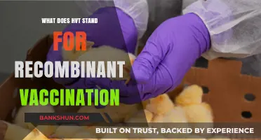 Understanding HVT: Recombinant Vaccination Technology and Its Applications