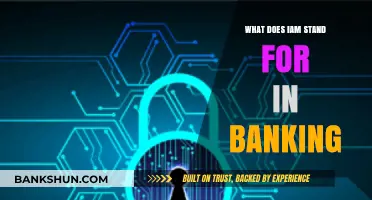 Understanding IAM in Banking: Identity Access Management Explained
