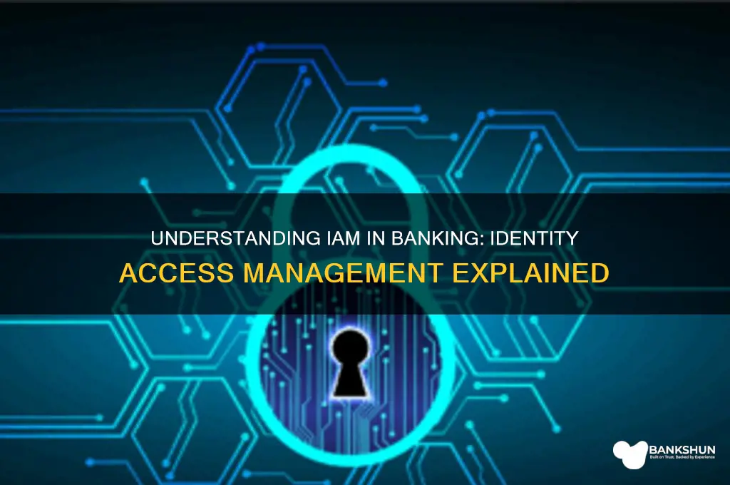 what does iam stand for in banking