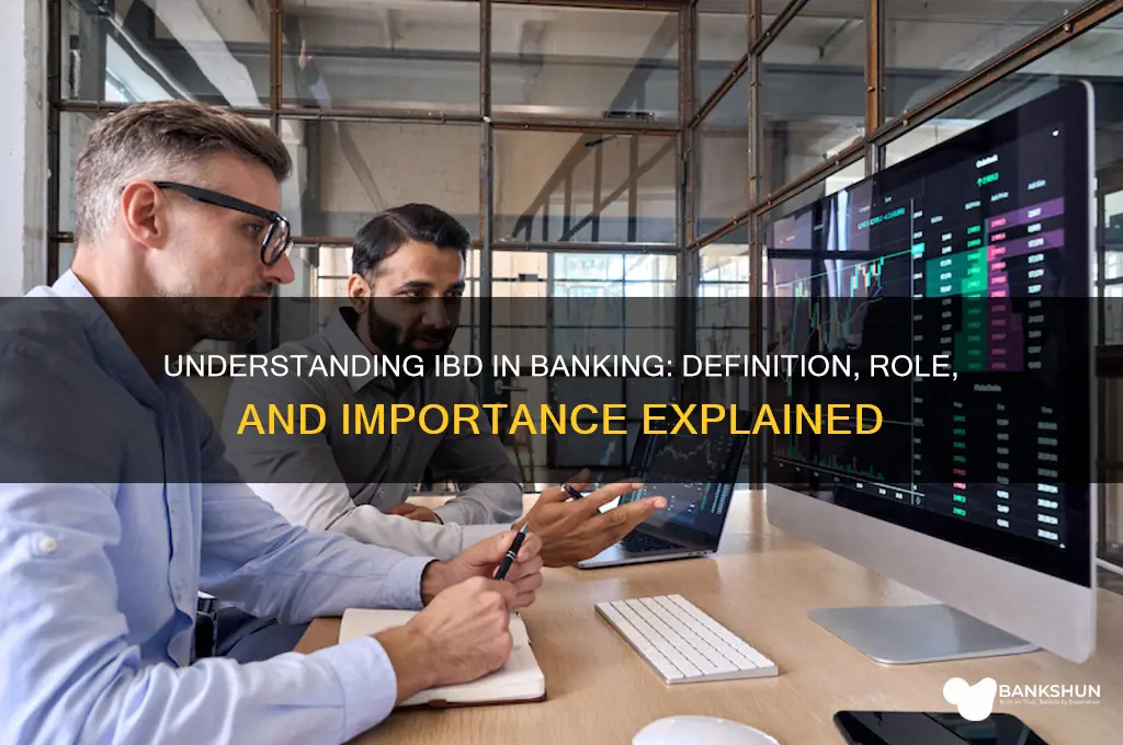 what does ibd stand for in banking