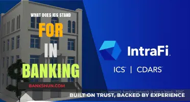 ICS: International Banking's Secret Code