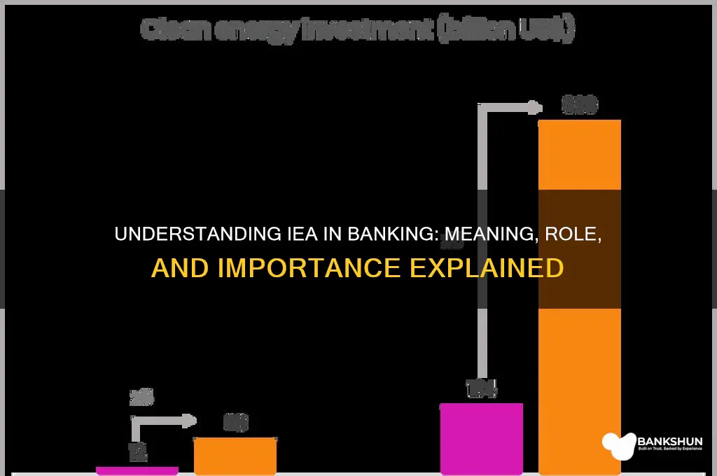 what does iea stand for in banking