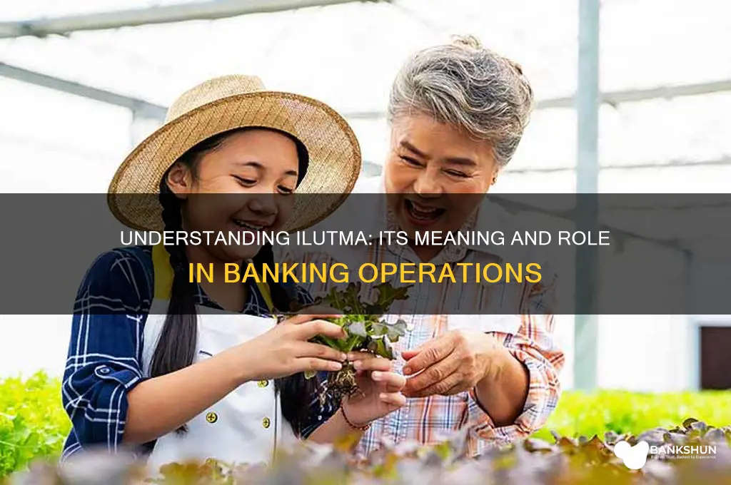 what does ilutma stand for in banking